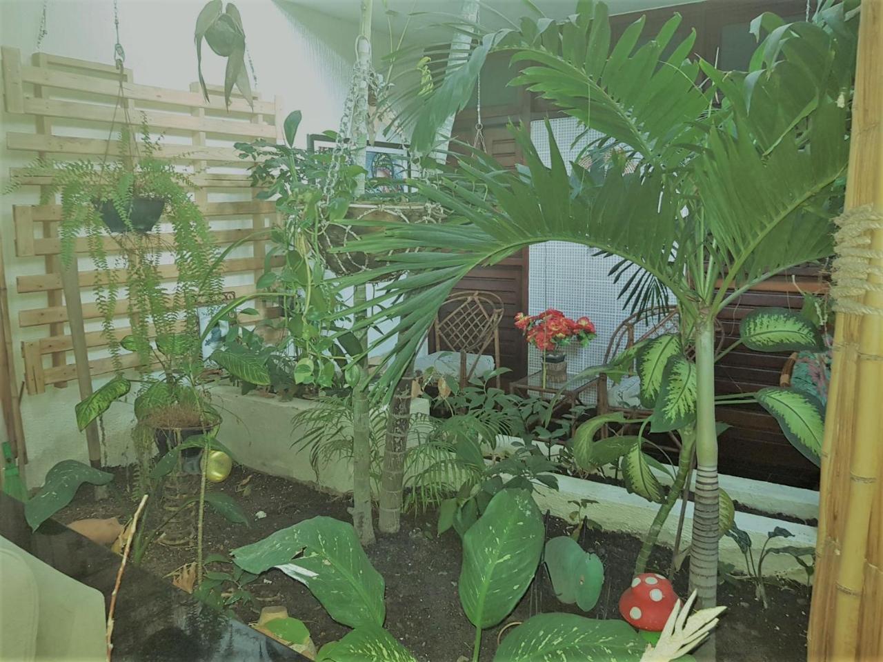 Pousada Terra Garrida Maceió Eksteriør bilde